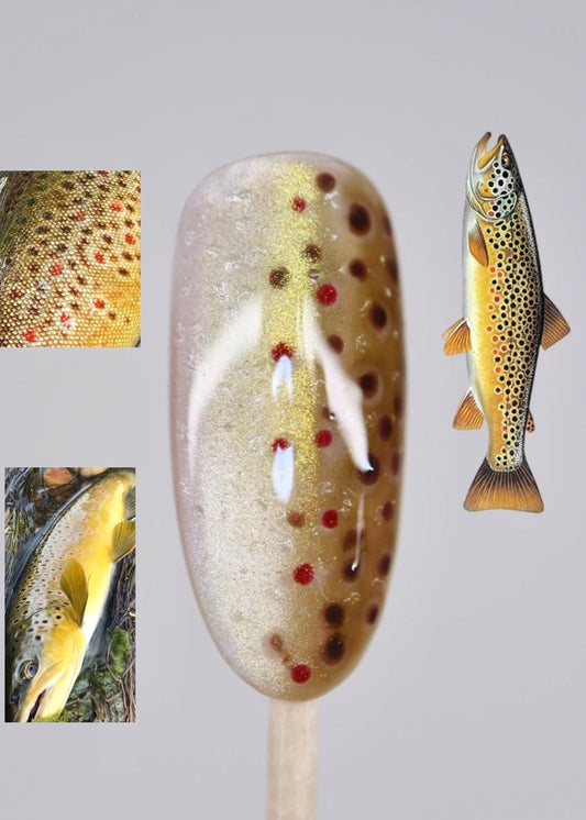 Brown Trout Full Set
