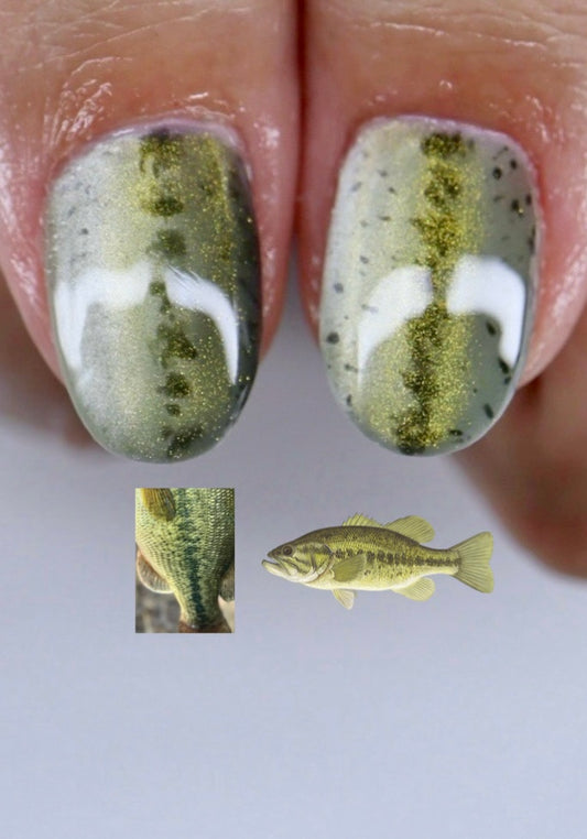Largemouth Bass Full Set