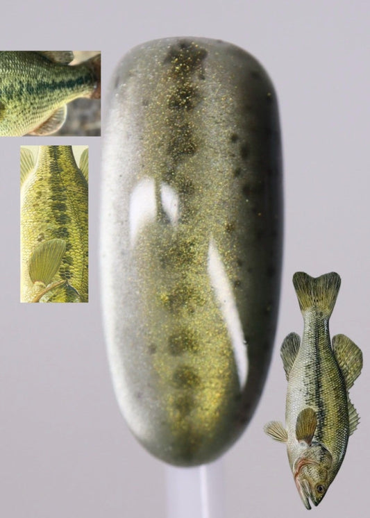 Largemouth Bass Full Set