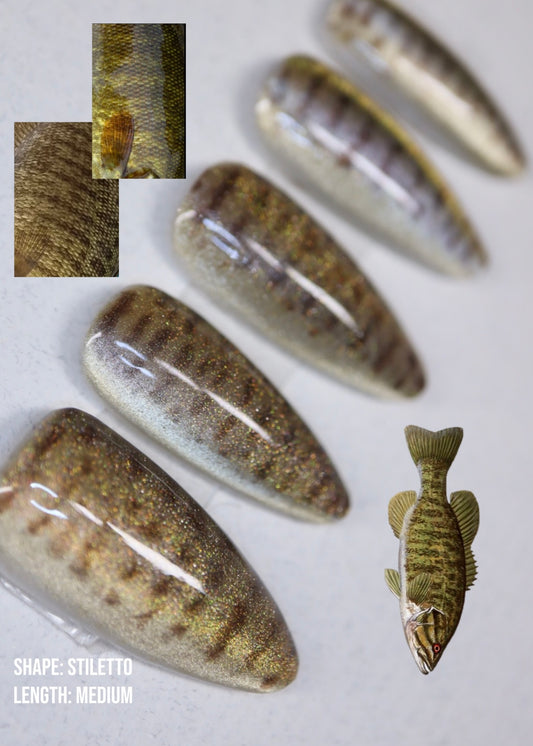 Smallmouth Bass Full Set