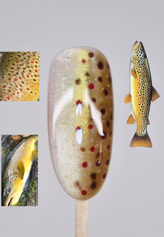 Brown Trout Full Set