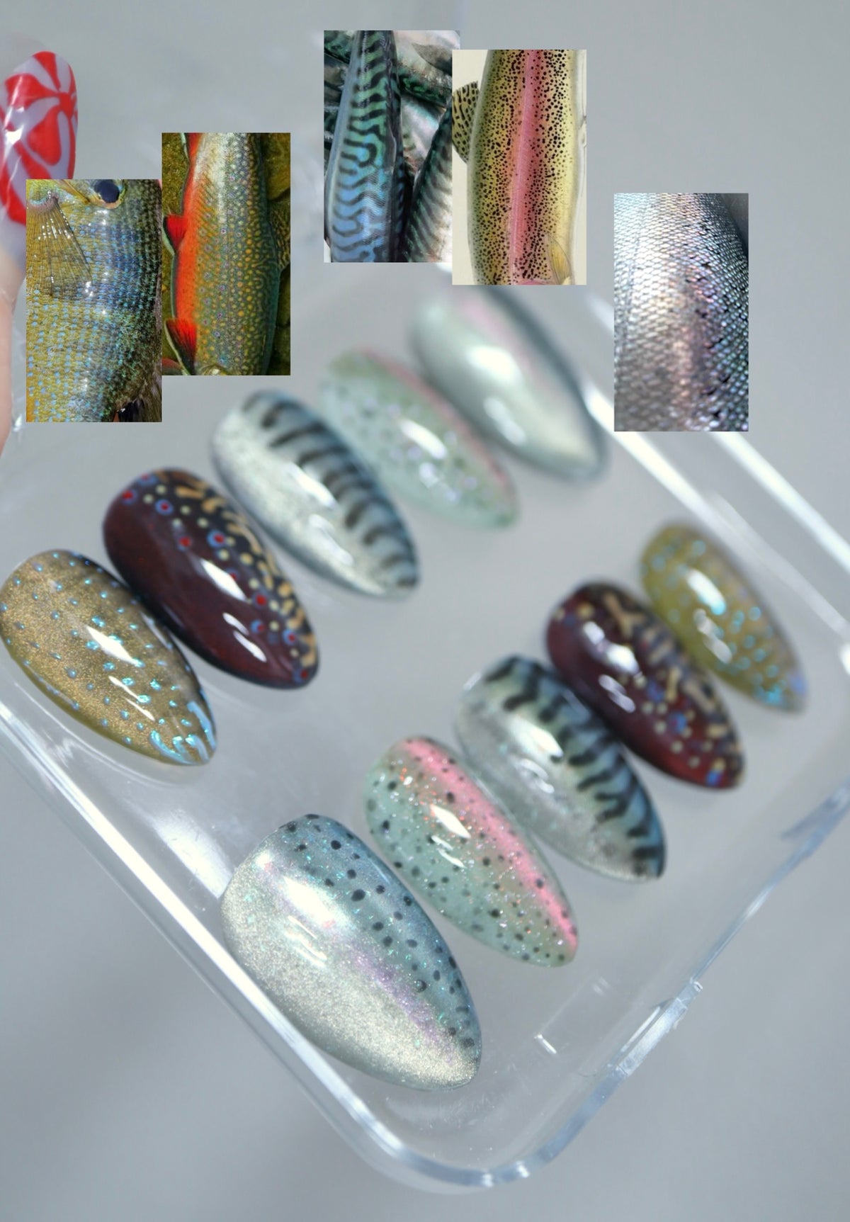 Fish Scale mix & match