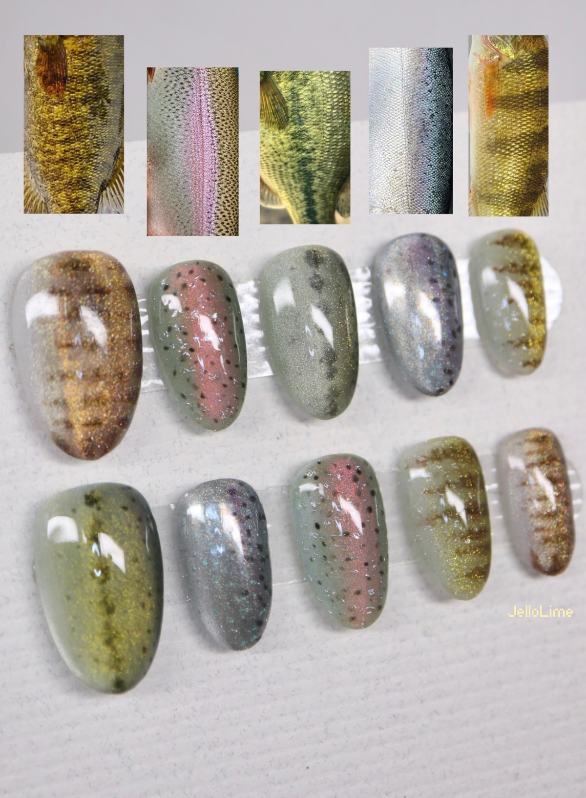 Fish Scale mix & match