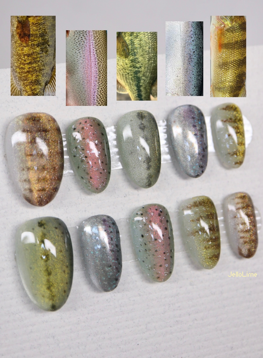 Fish Scale mix & match