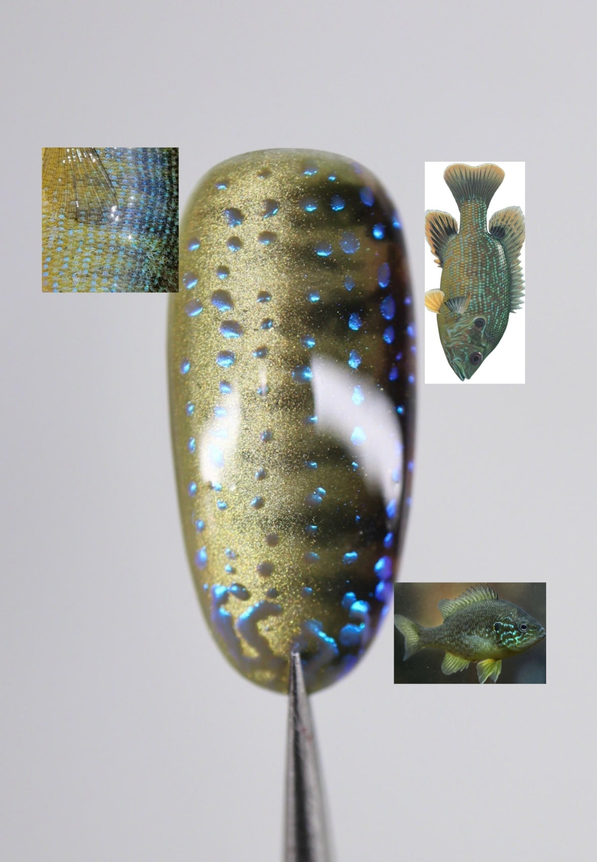 Green Sunfish Full Set