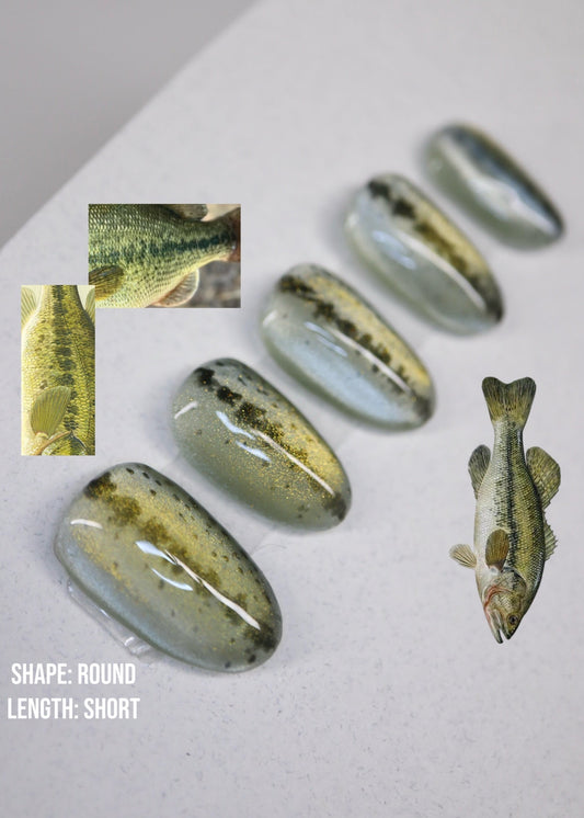 Largemouth Bass Full Set