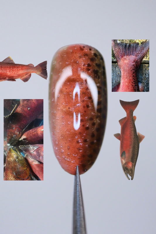 Red Chinook Salmon Full Set