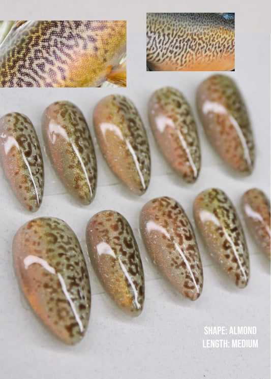 Tiger Trout Full Set