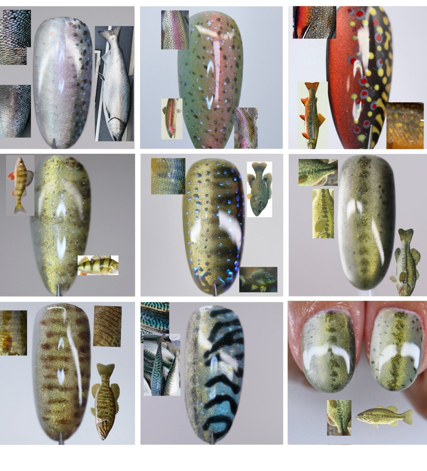 Fish Scale mix & match
