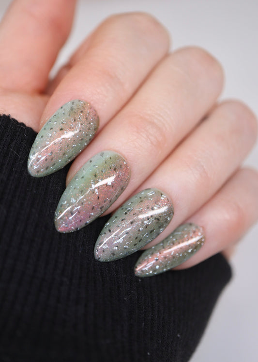 Rainbow Trout Full Set