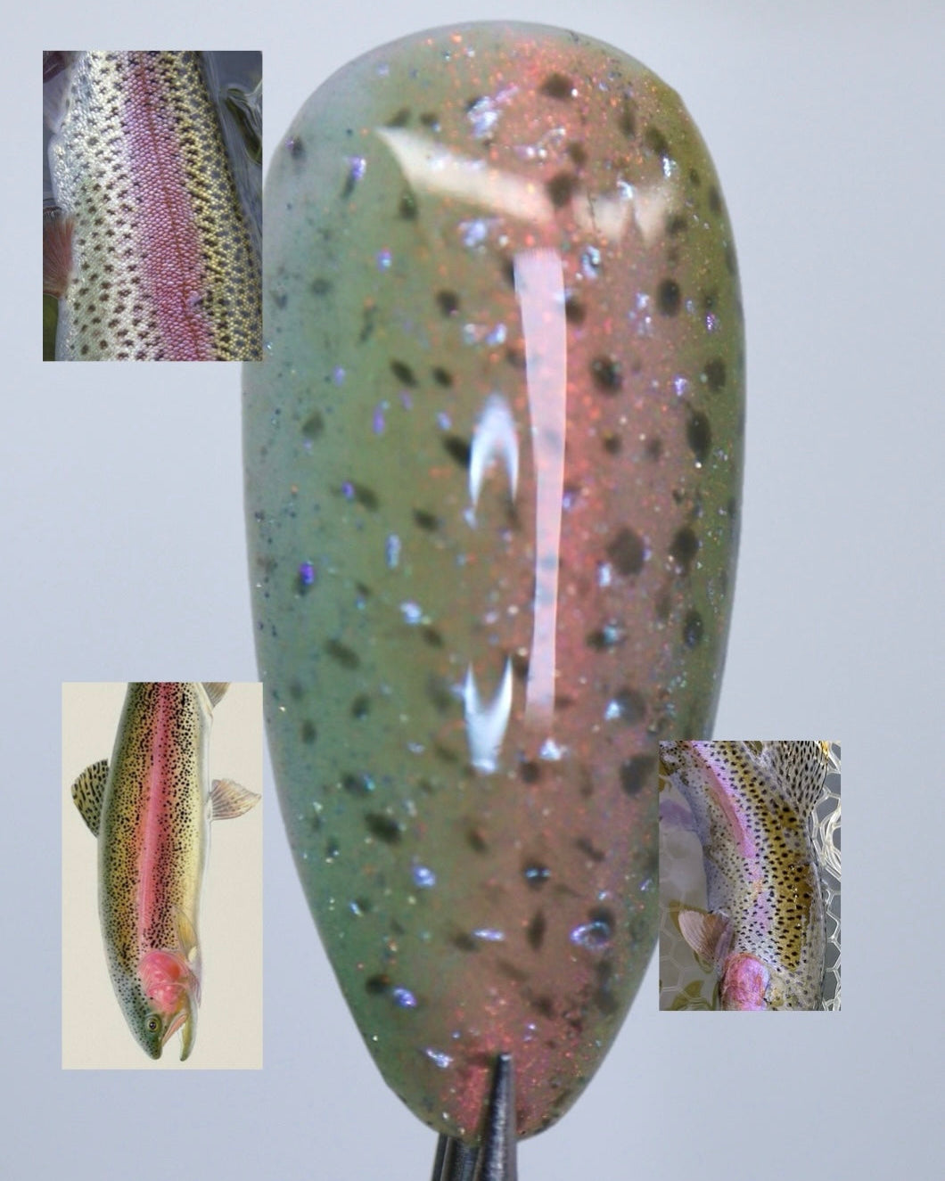 Rainbow Trout Full Set