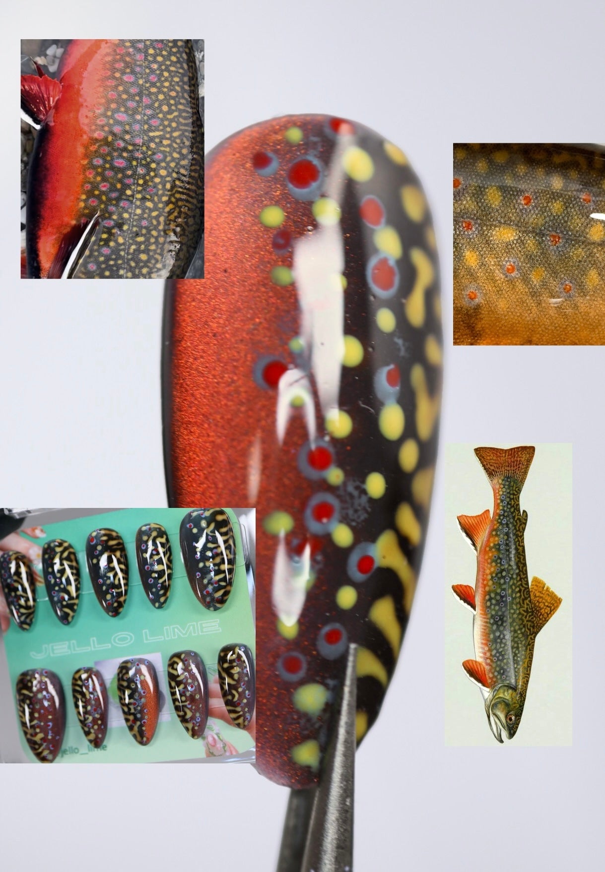 Brook Trout Full Set