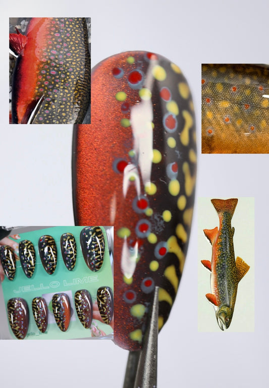 Brook Trout Full Set
