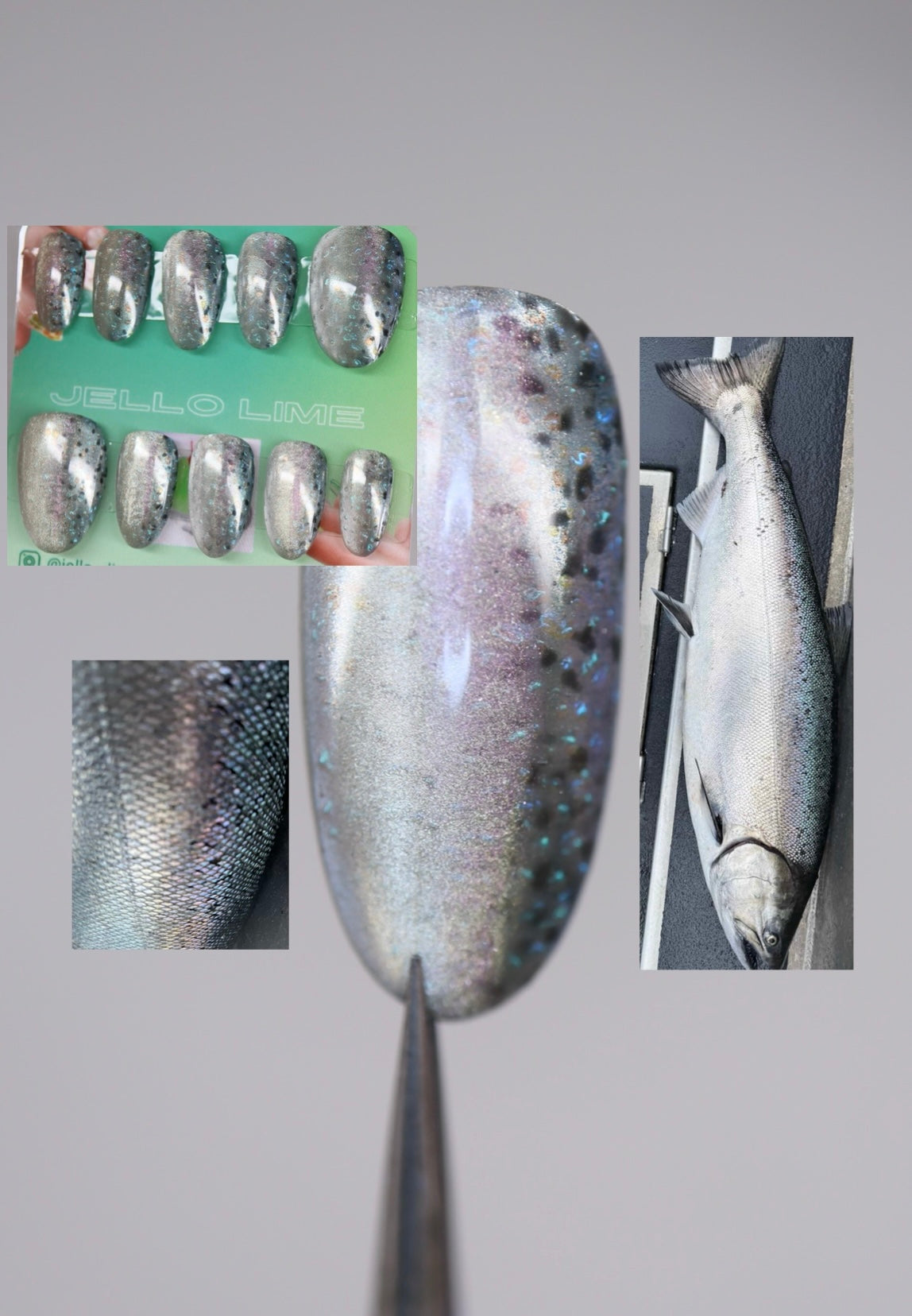 Chinook Salmon Full Set