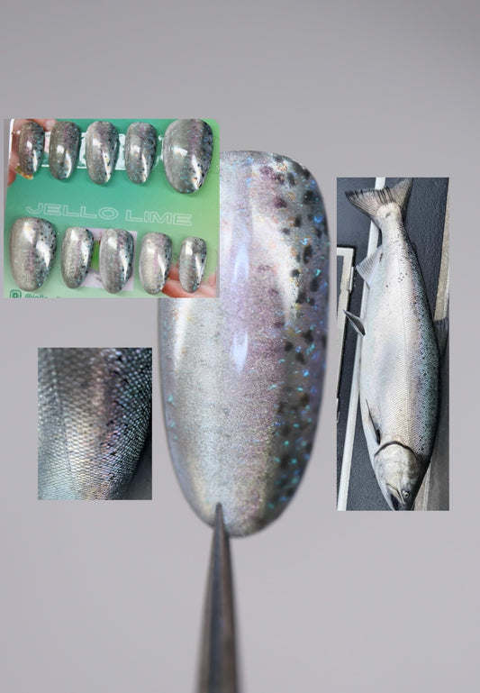 Chinook Salmon Full Set
