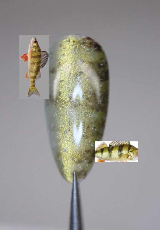 Yellow Perch Full Set