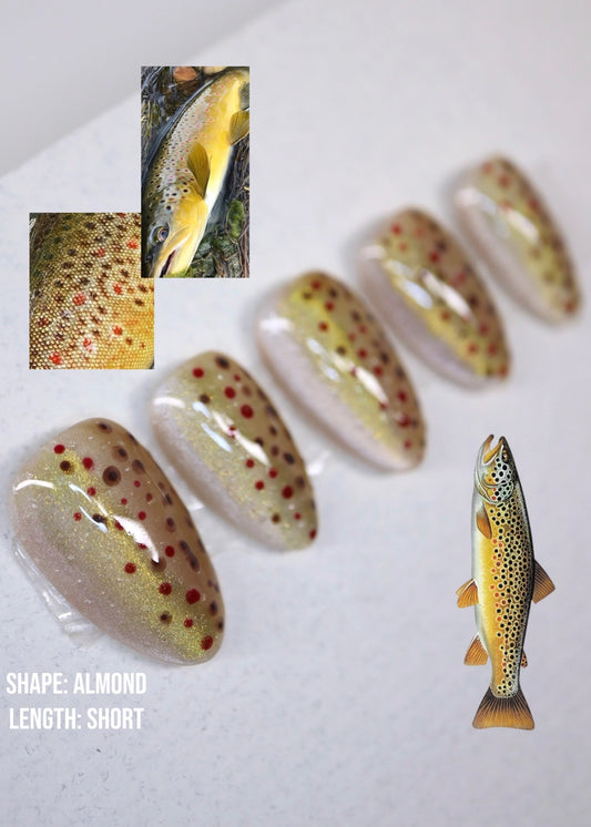 Brown Trout Full Set