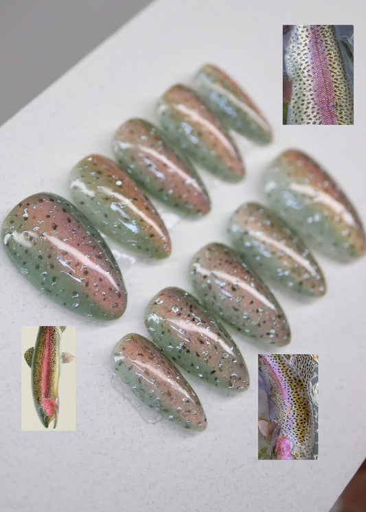 Rainbow Trout Full Set