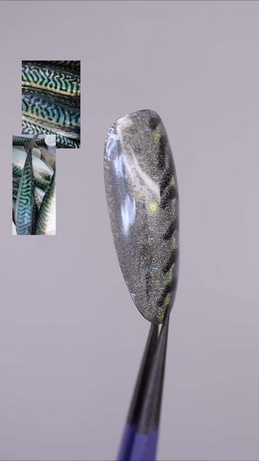 Mackerel Full Set
